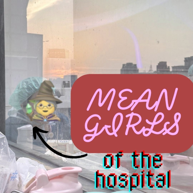 OB/GYN tales: The Mean Girls of the Hospital - The Whimsical Doctor